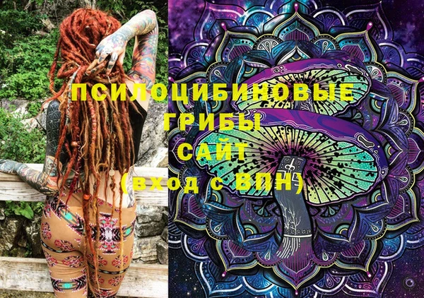 ПСИЛОЦИБИНОВЫЕ ГРИБЫ Бородино