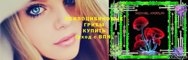 ПСИЛОЦИБИНОВЫЕ ГРИБЫ Бородино