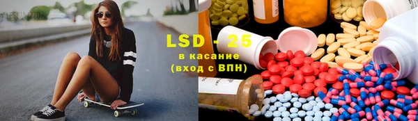 ПСИЛОЦИБИНОВЫЕ ГРИБЫ Бородино