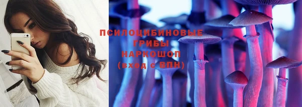 ПСИЛОЦИБИНОВЫЕ ГРИБЫ Бородино