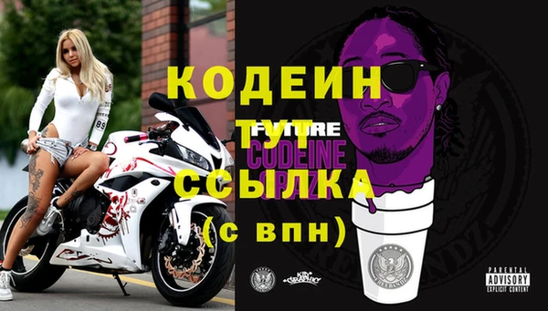 ПСИЛОЦИБИНОВЫЕ ГРИБЫ Бородино