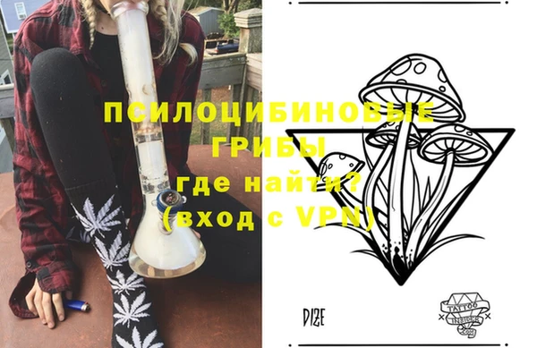 стаф Бронницы
